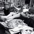 Edward Gorey coi suoi gatti