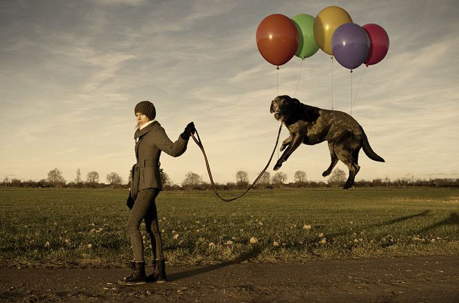 Erik Johansson - Lazy dogs