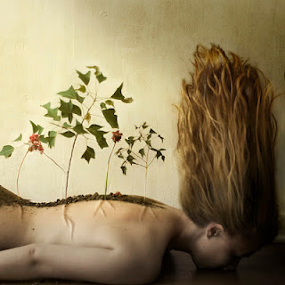 Brooke Shaden
