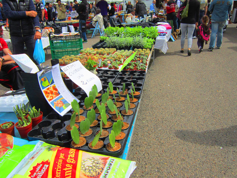 Cagliari - Mercatino viale Trento
