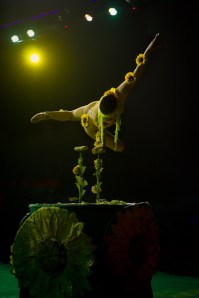 Marilena Givevra Riello