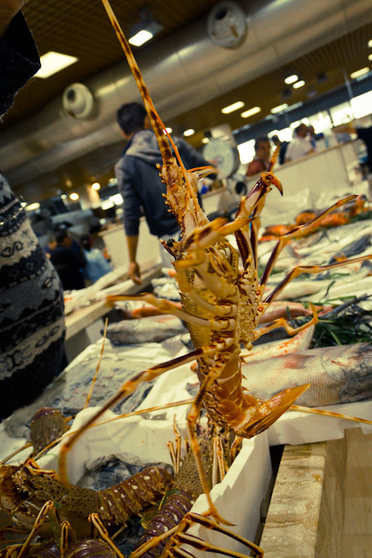 Mercato San Benedetto