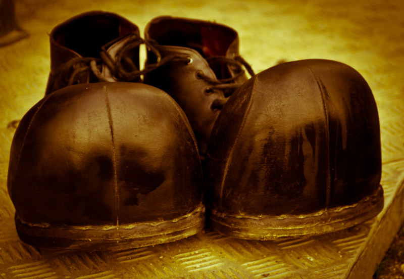 Marilena Ginevra Riello - Circo