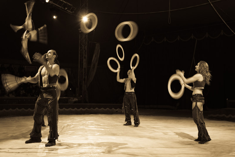 Marilena Ginevra Riello - Circo