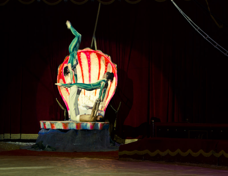 Marilena Ginevra Riello - Circo