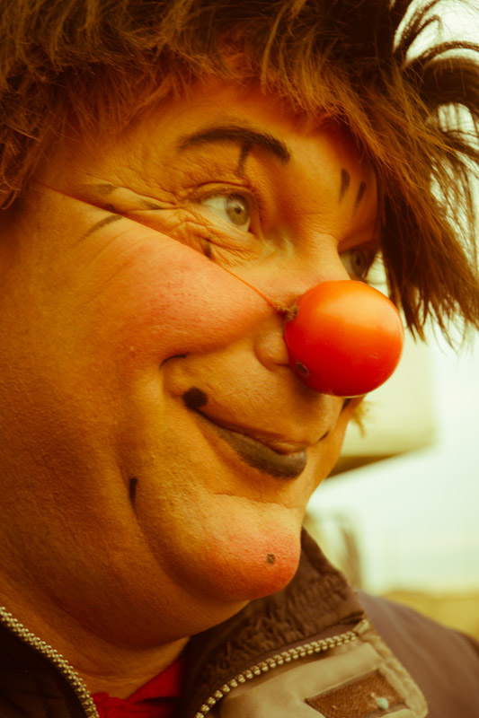 Marilena Ginevra Riello - Circo