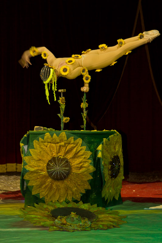 Marilena Ginevra Riello - Circo