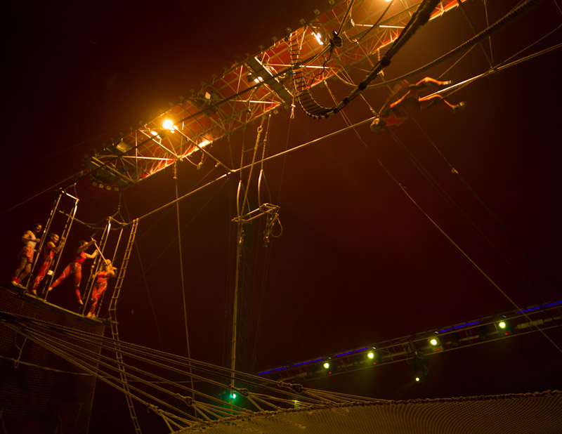 Marilena Ginevra Riello - Circo