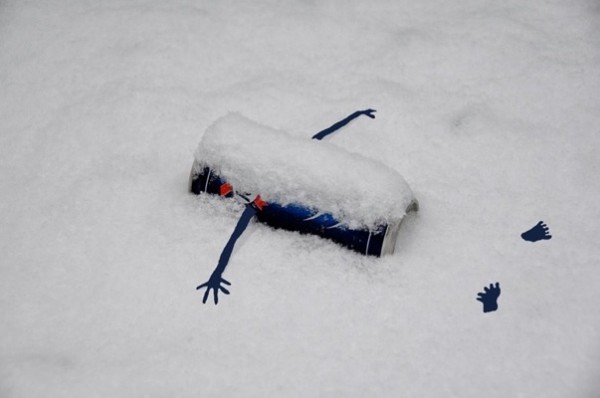 Sandrine Estrade Boulet