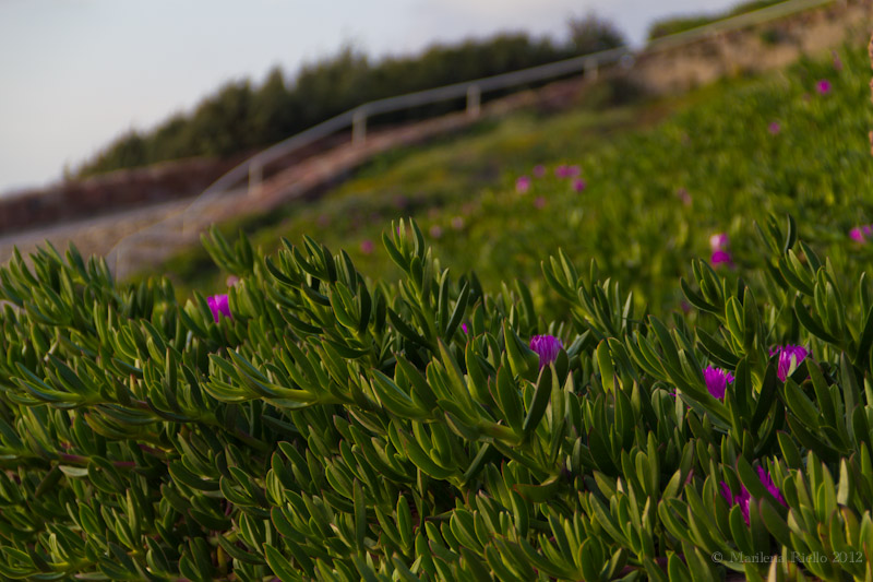 Whitewake e i sette omini della miniera