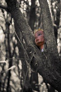 Alla ricerca dell'epicentro nuragico - Muncadora la Ninja