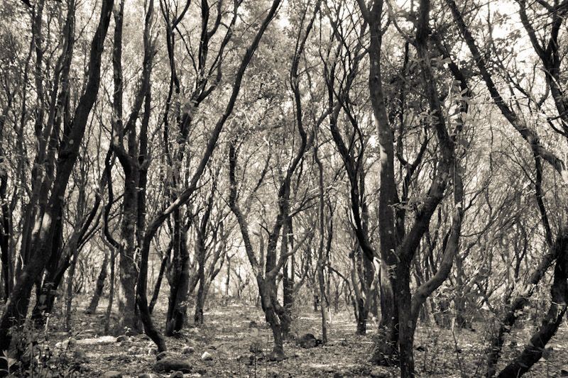 Alla ricerca dell'epicentro nuragico - Muncadora la Ninja