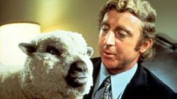 Tutto quello che avreste voluto sapere sul sesso