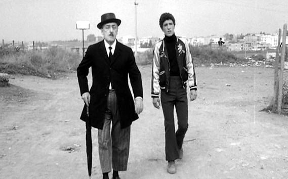 Uccellacci e uccellini