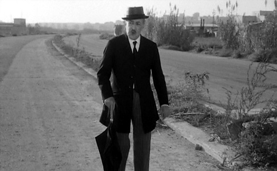 Uccellacci e uccellini