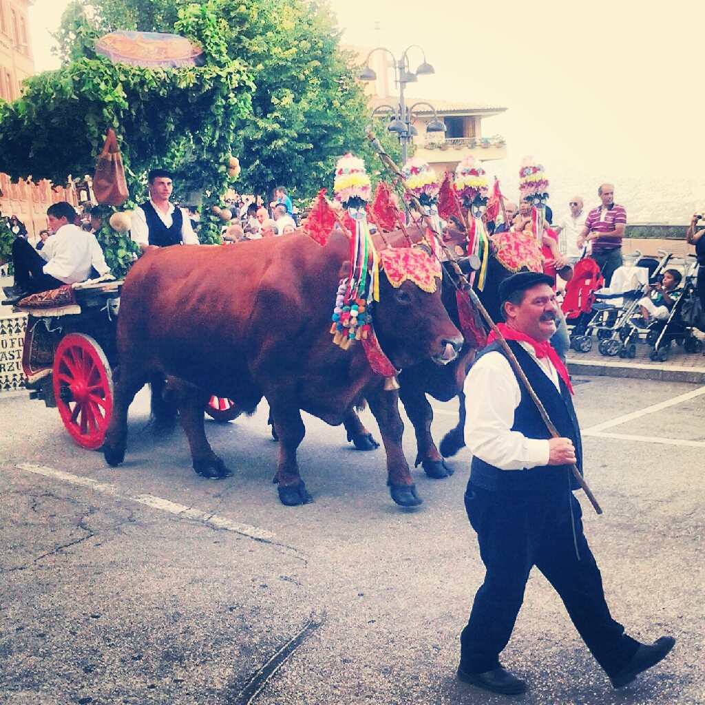 Jerzu - Sagra del vino 2012