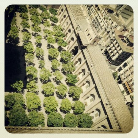 Il patio degli Aranci visto dalla Giralda