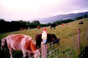 Cercasi Geosh disperatamente...