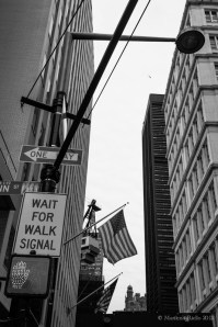 New York - La tana del ratto