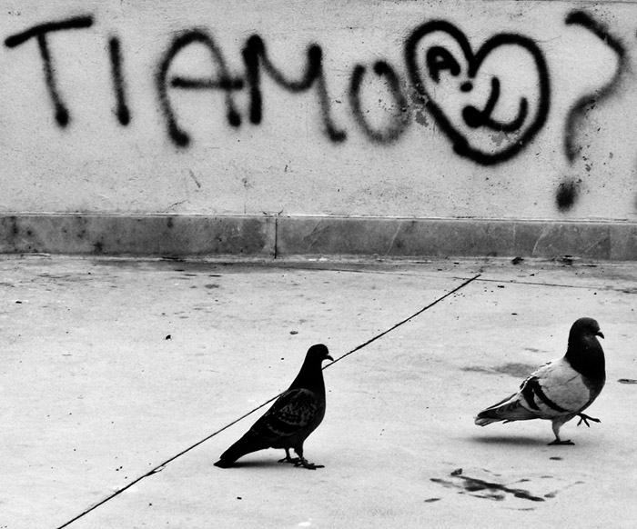 Carlo Soro - Il dubbio