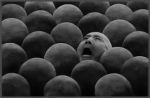 Misha Gordin