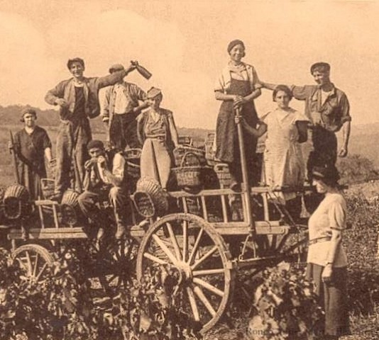 1° Maggio - Festa del lavoro