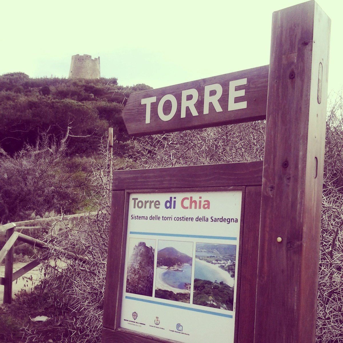 Bithia - Invasioni digitali