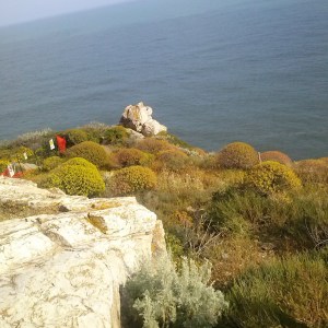 Bithia - Invasioni digitali