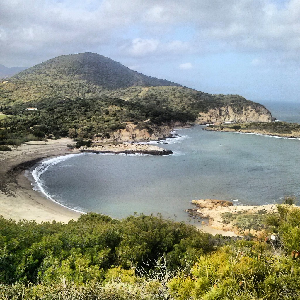 Bithia - Invasioni digitali