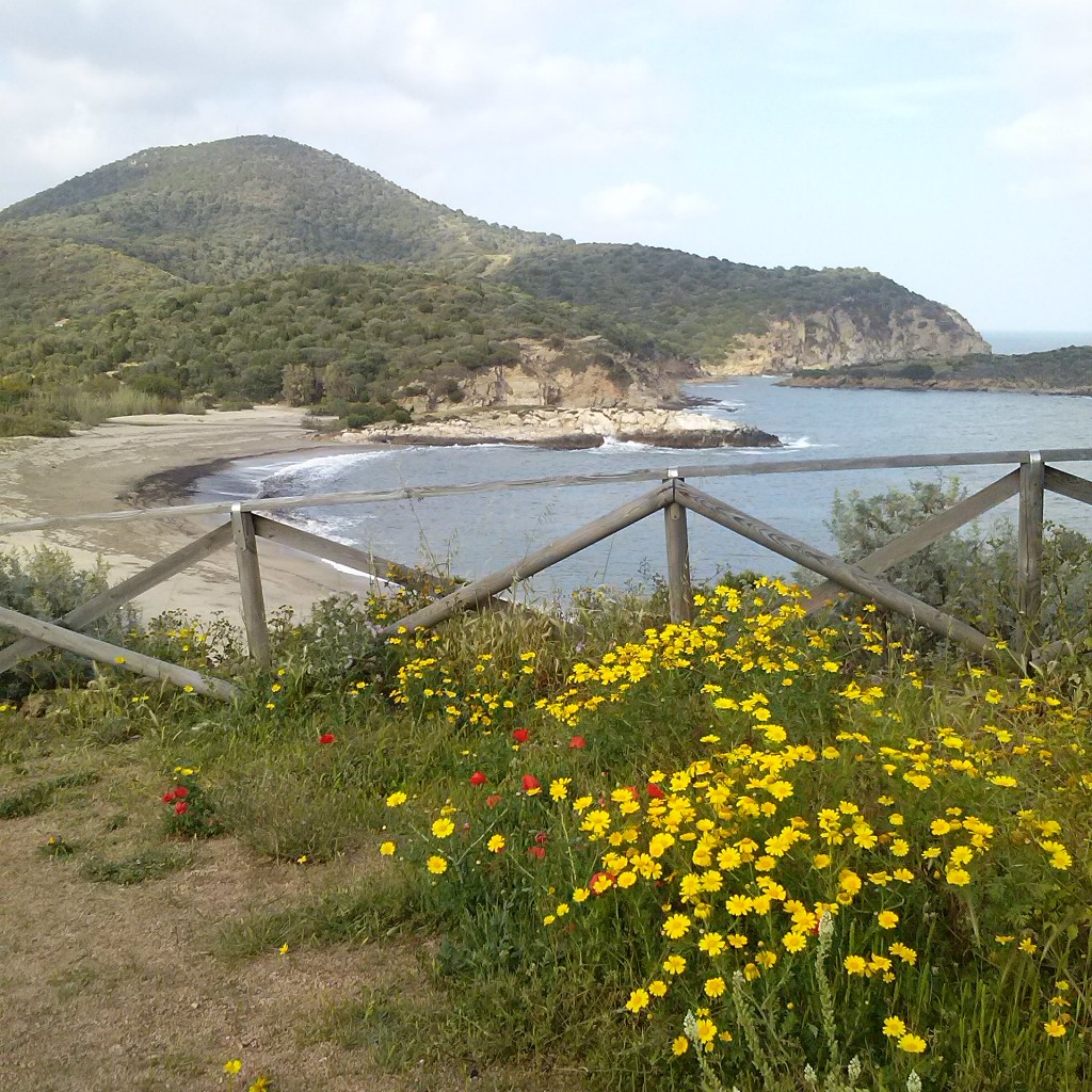 Bithia - Invasioni digitali