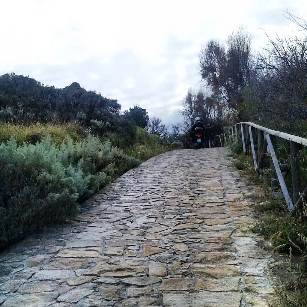 Bithia - Invasioni digitali