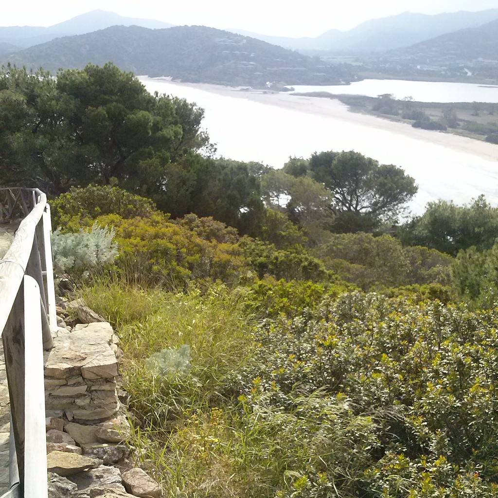 Bithia - Invasioni digitali