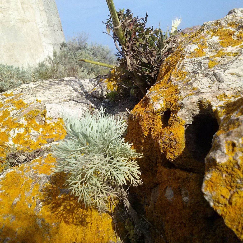 Bithia - Invasioni digitali