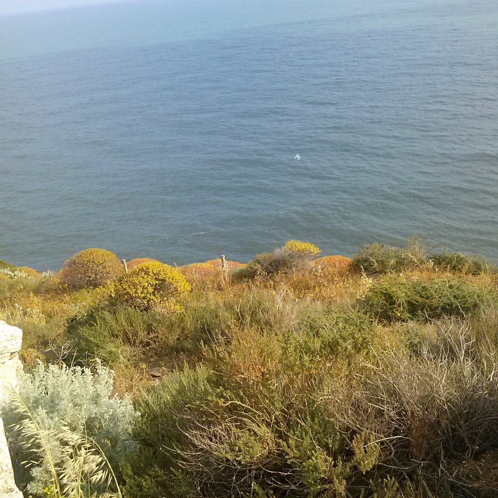 Bithia - Invasioni digitali