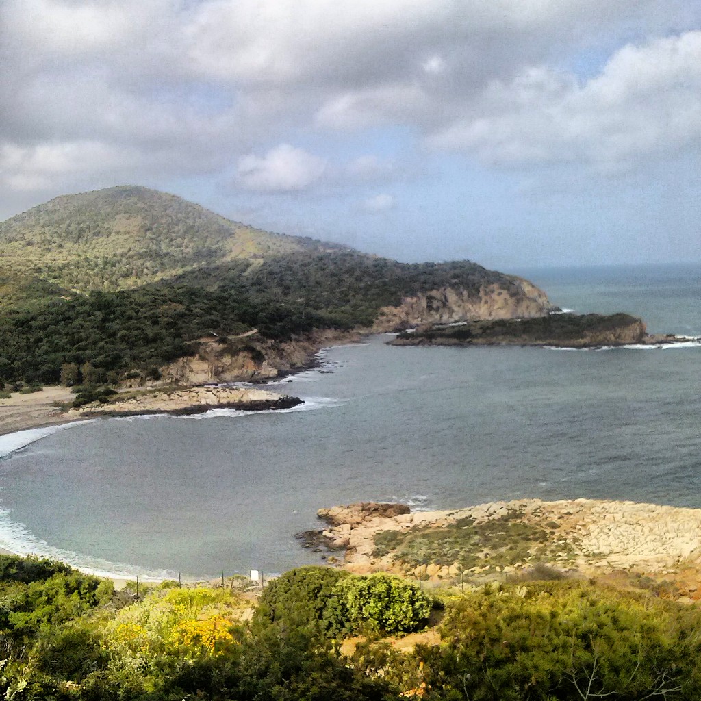 Bithia - Invasioni digitali