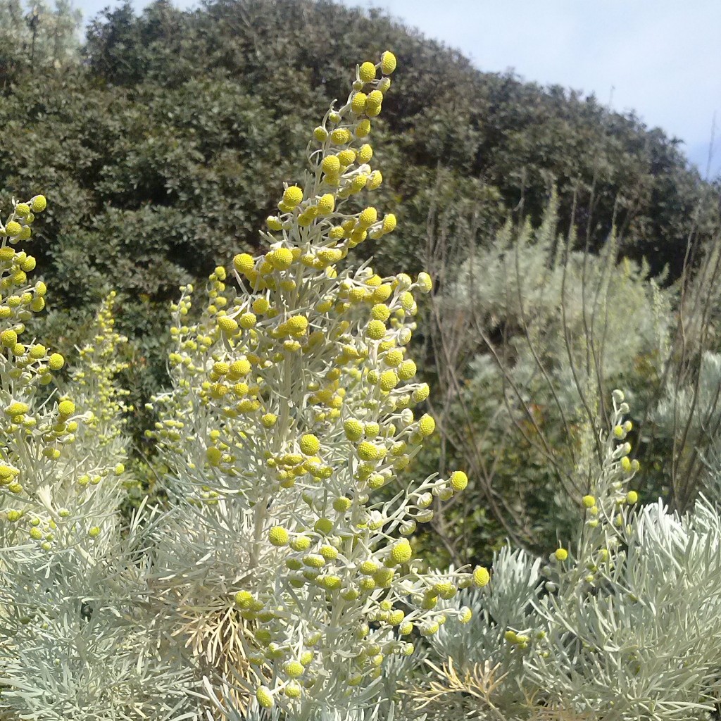 Bithia - Invasioni digitali