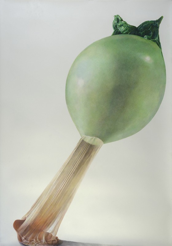 Julia Randall – Blown