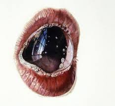 Julia Randall – Blown