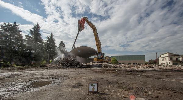 ECOMasse - Progetto "Albero in città"