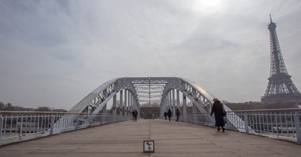 ECOMasse - Progetto "Albero in città"