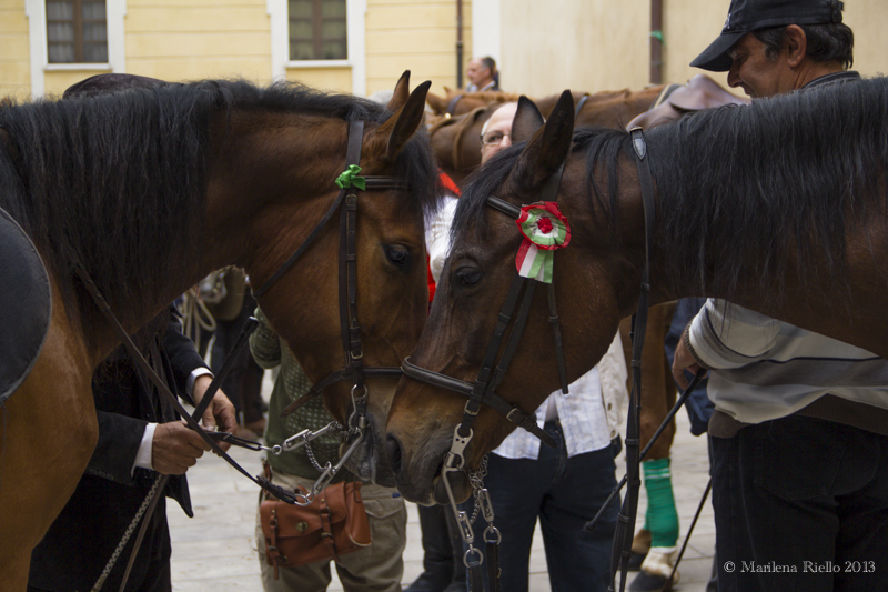 1° Maggio 2013 - Sant'Efisio