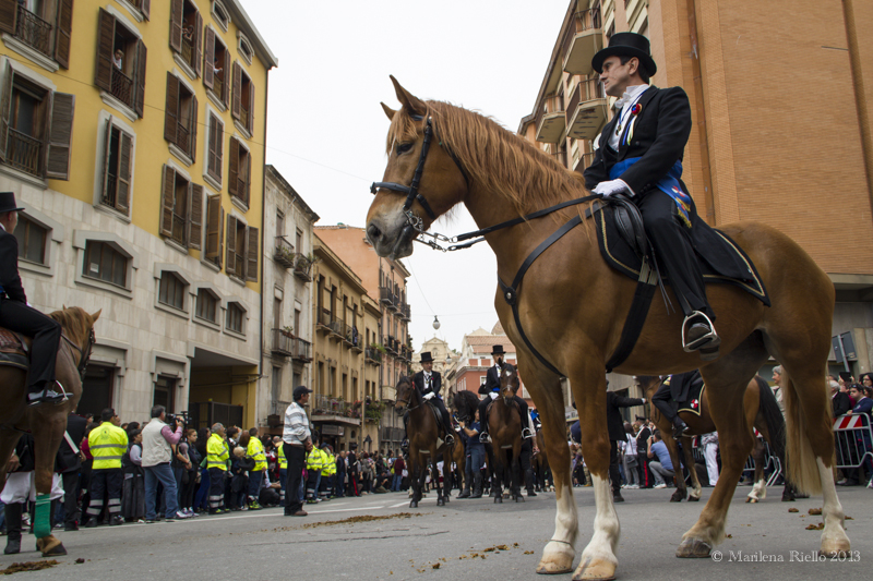 1° Maggio 2013 - Sant'Efisio