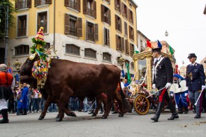 1° Maggio 2013 - Sant'Efisio