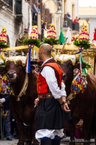 1° Maggio 2013 - Sant'Efisio