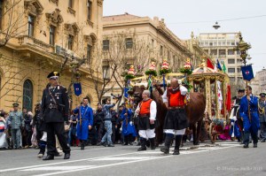1° Maggio 2013 - Sant'Efisio