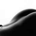 Allan Teger Bodyscapes
