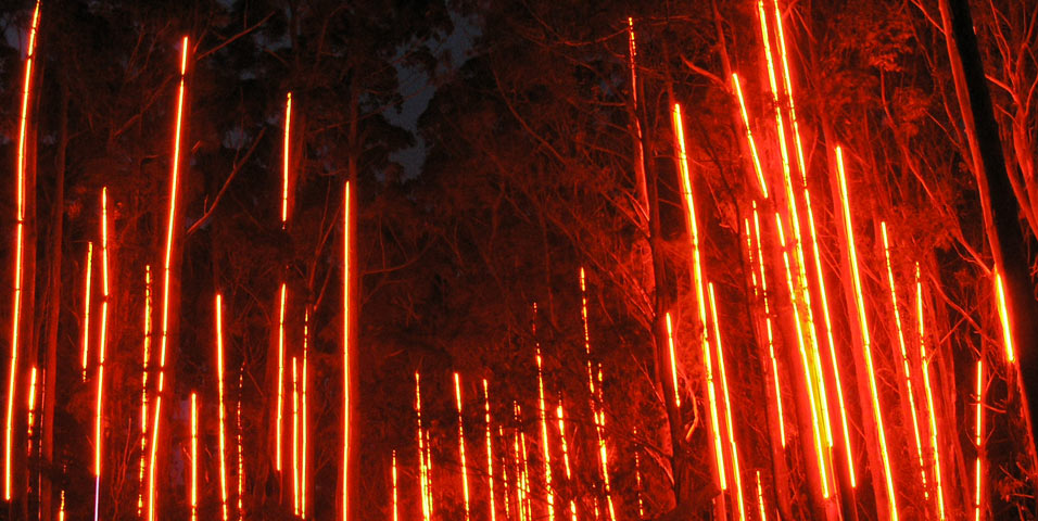 Peter Roche - Saddleblaze