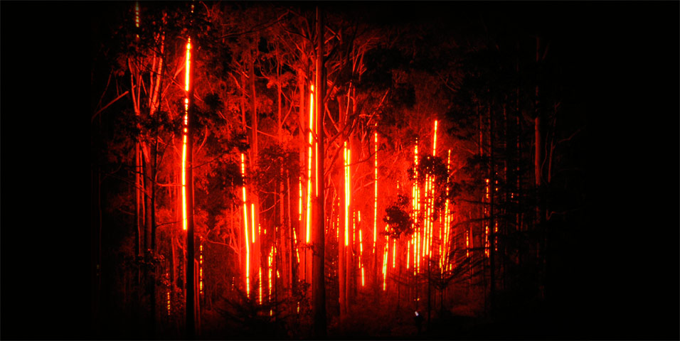 Peter Roche - Saddleblaze