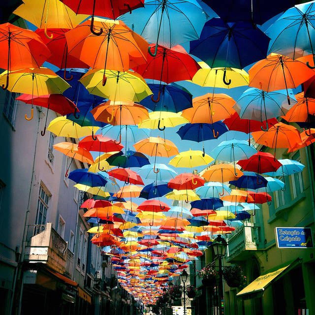 Sky Project Umbrella