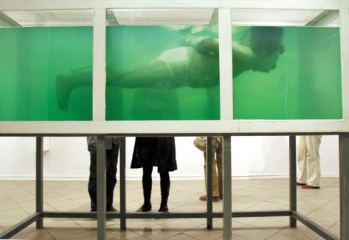 David Černý - Shark